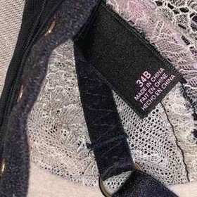 Victoria’s Secret Swarovski Corset