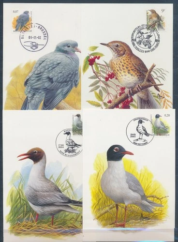 XE60229 Belgium 1991 -2005 animals fauna flora birds maxicards used