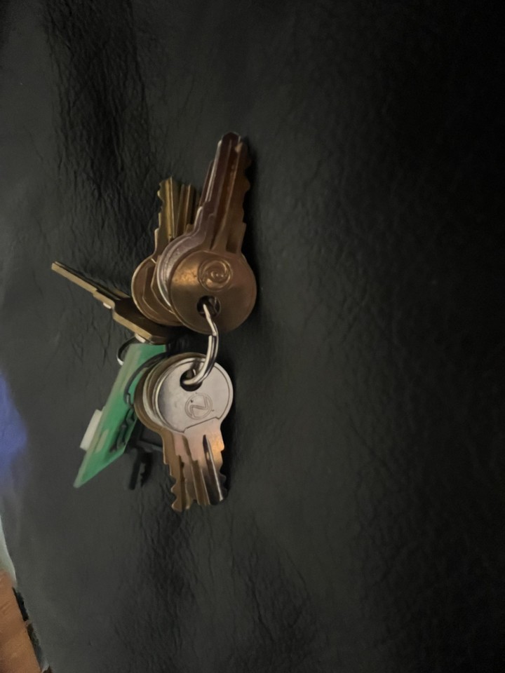 Master Fire Alarm Tech Keys 14 Keys Total Notifier Simplex Bosch SK ...