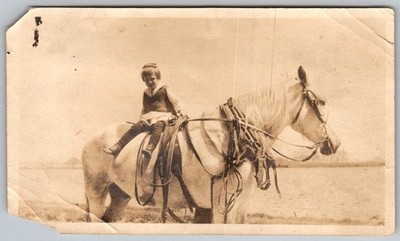Vtg B&W Snapshot Young Child Girl Riding Large White Work Horse Country 1920s