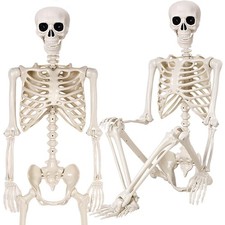 2 Pack 36" Halloween Skeleton - 3 ft Life Size Human Skeleton Full Body Posable