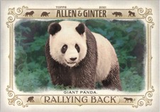 2021 Topps Allen and Ginter Rallying Back #RB2 Giant Panda - BB