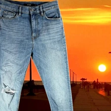 Hudson Jeans Women 27 Los Angeles Holly Skinny Distressed Denim Whiskered