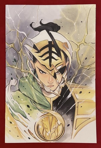 Mighty Morphin #2 1:100 Peach Momoko Virgin Incentive Varaint Power Rangers quasi nuovo + - Foto 3 di 4