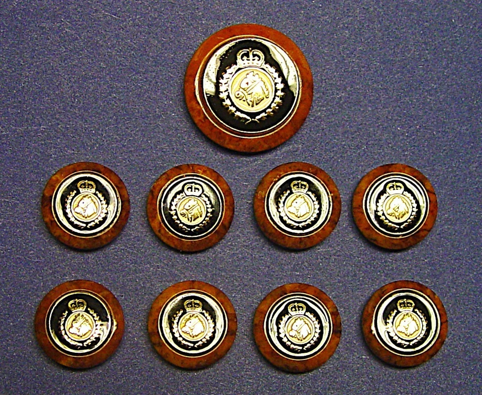 VITALE BARBERIS CANONICO replacement buttons 9 black /white enamel Tan stone rim - Image 2 of 4
