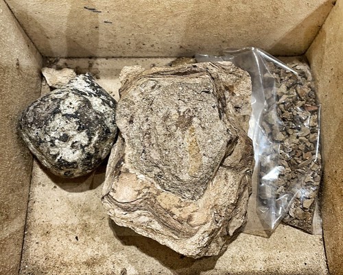 1ml Ambergris 15% Tinktur Pottwal in Mysore Sandelholz Öl by Duftkumpels Top!!! - Picture 8 of 9