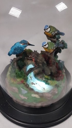 Musical Bird Scene Treasures Of The Morning Bradford Editions Garden Glass Domed - Picture 4 of 22