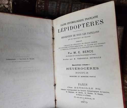 1870 ENTOMOLOGICAL FAUNA LEPIDOPTERA – DESCRIPTIONS OF ALL BUTTERFLIES Engraved - Picture 5 of 19