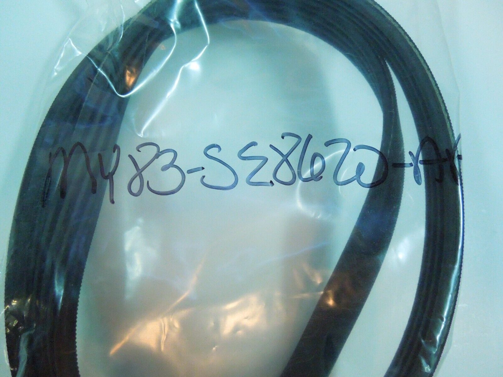 Foto 3 di 3