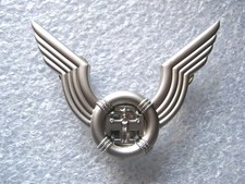 SCOUT / INSIGNE DE BERET DES SCOUTS DE FRANCE