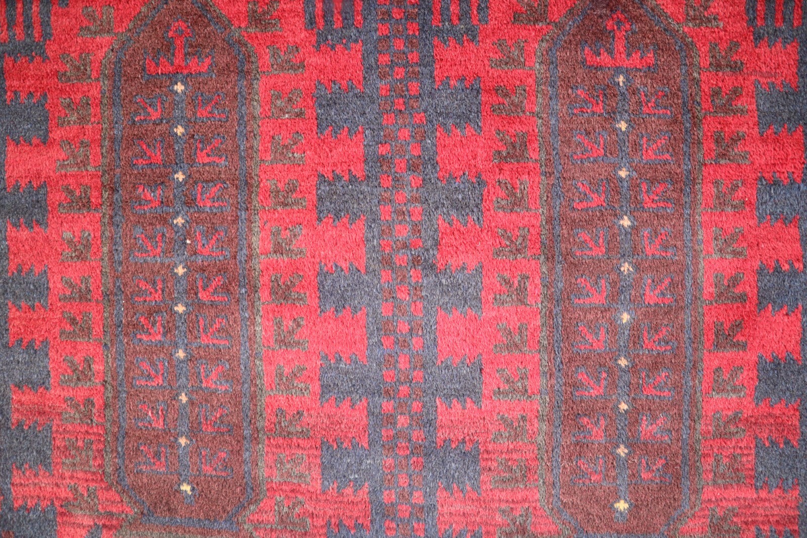 Picture 13 of 14