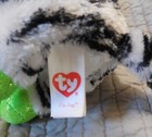 Bild 5 von 5