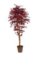 Artplants KüNstlicher Japanischer Ahorn Gordjuscha, EchtstäMme, 225Cm