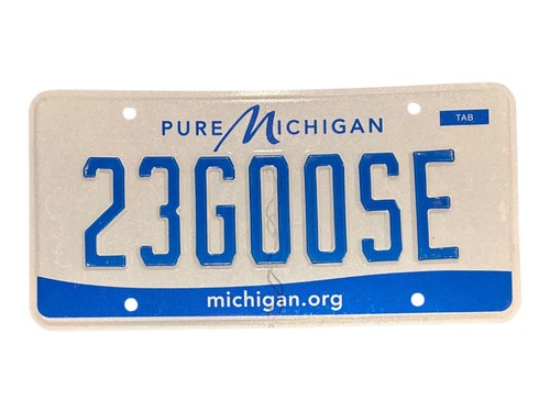 PURE VANITY LICENSE PLATE " 23GOOSE" 23 GOOSE GEESE DUCKS BIRDS 23nME