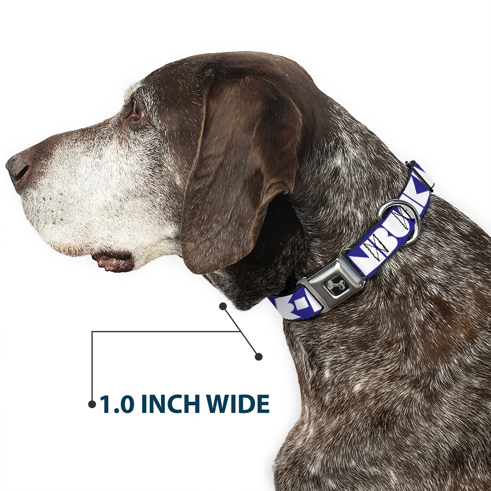 Dog Collar Bone BUCKLE-DOWN Shapes Blue/White WIDE-Large 20-31"