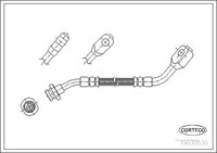 Corteco Bremsschlauch 19030530 FüR WD21 UP Nissan Terrano D21 720 Pick 1 2 R20