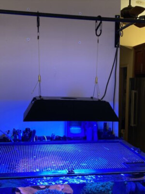 Ecotech Radion XR30 Shade