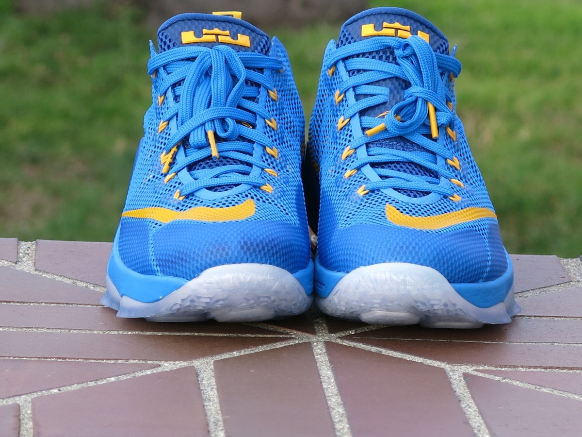 fanron 　お値下げ!NIKE Size 9 - Nike LeBron 12 Low Entourage for sale online | eBay
