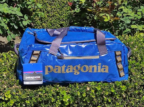 Buy Patagonia BLACK HOLE DUFFEL 45L 