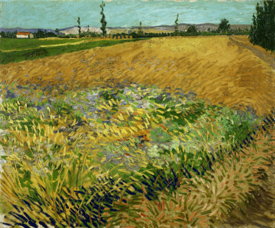 Van Gogh Wheatfield Giclee Fine Art Print on Canvas Wall Art 36''