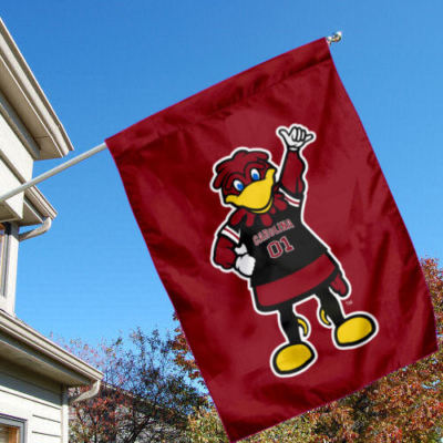 Bandiera Da Giardino - Set Giardino 33x46cm Con Supporto Bandiera South Carolina Gamecocks - Foto 10