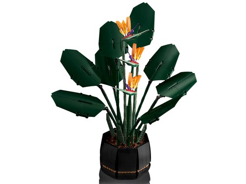 ⭐ LEGO 10289 Paradiesvogel Botanical Sammlung Paradiesvogel - Bild 9 von 14