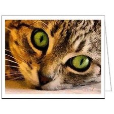 Brucie The Cat - Watching You - Set of Six Notecards