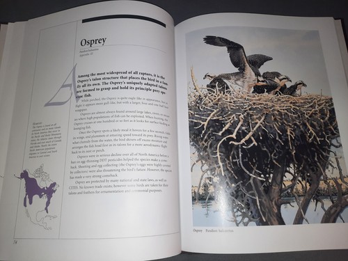 North American Endangered & Protected Species Limited Edition Vol 1 w/Slipcase - Picture 12 of 14