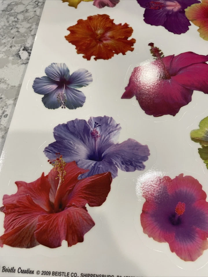 JUEGO DE 5 adhesivos para ventanas de hibisco 12" x 17" Tropical Luau Fiesta ~ Verano ~ Aula Foto 4 de 4