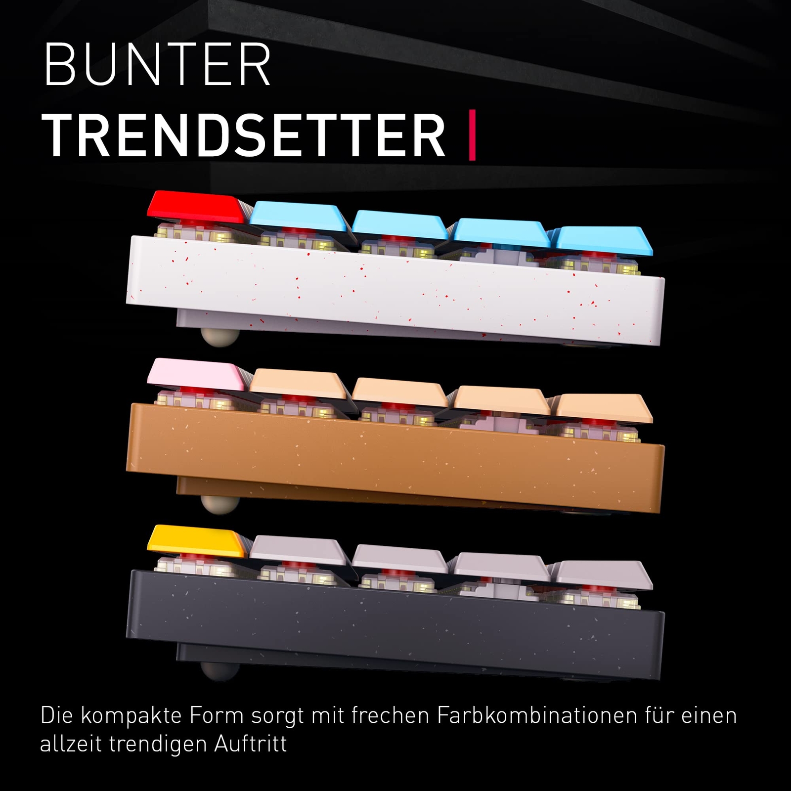 Bild 8 von 8
