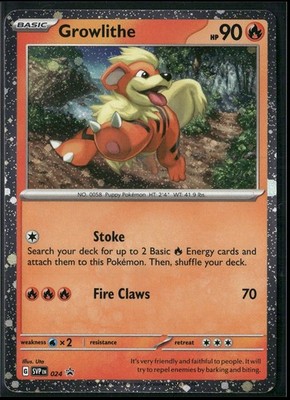 Pokémon - Growlithe 024 Black Star Promo Scarlet & Violet LP