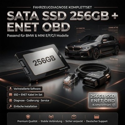 BMW Diagnose SATA SSD 256 GB kompa. mit ISTA+ INPA E-SYS SSD ENET E F G Modelle