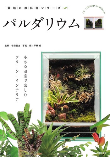 Paludarium Green interior to enjoy in a small greenhouse Cultivation