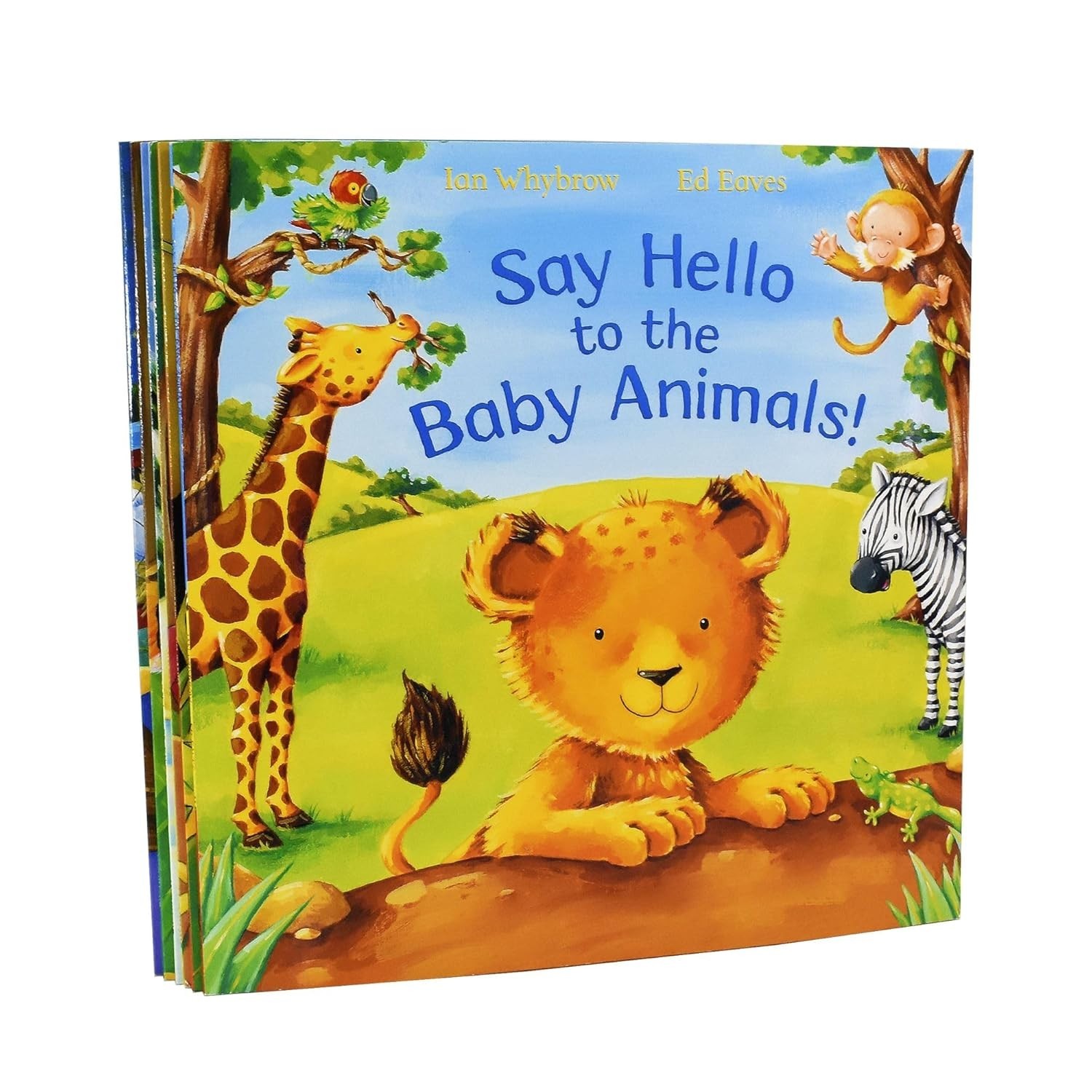 Say Hello to the Animals 6 Books Bundle Collection By Ian Whybrow Paperback NEW - Image 4