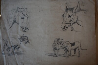 LARGE DRAWING CHARCOAL 19TH CENTURY ANIMAL STUDY HORSE HEAD DOG ANE GOAT COUNTRY