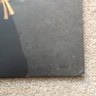 Foto 17 di 24