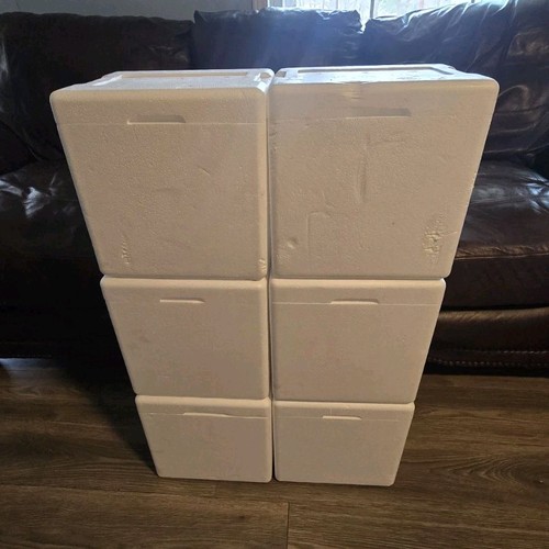 Lot of 6 Styrofoam Insulated Mailing Cartons with Lids, 10x10x11 Inches