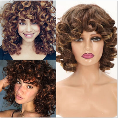 Short Curly Brown Wigs for Black Women Afro Kinky Curly Wavy  display picture 3