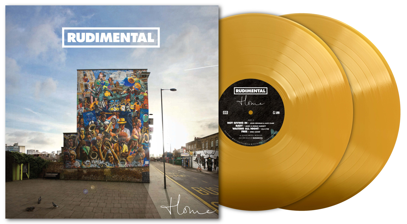 Rudimental Home (Vinyl LP)