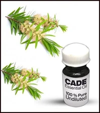 Cajuput Essential Oil 100% Pure Undiluted (10ML-500ML)