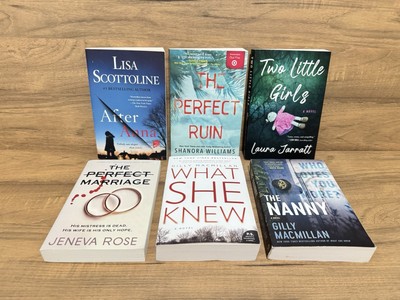 Lot of 6 Mystery Thriller Books - What She Knew, The Nanny, The Perfect Run