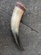 KUHHORN - CA. 12 ZOLL LANG - GUTER GEBRAUCHTER ZUSTAND