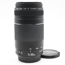 Canon EF 75-300mm f4-5.6 III Lens 491