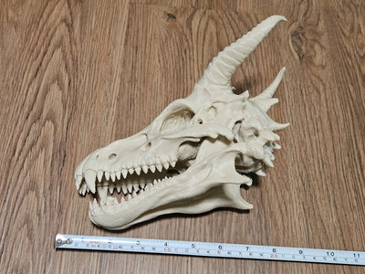 Fantasy Dragon Skull 3D Print Realistic Dragon Head Statue Handmade Gift USA L
