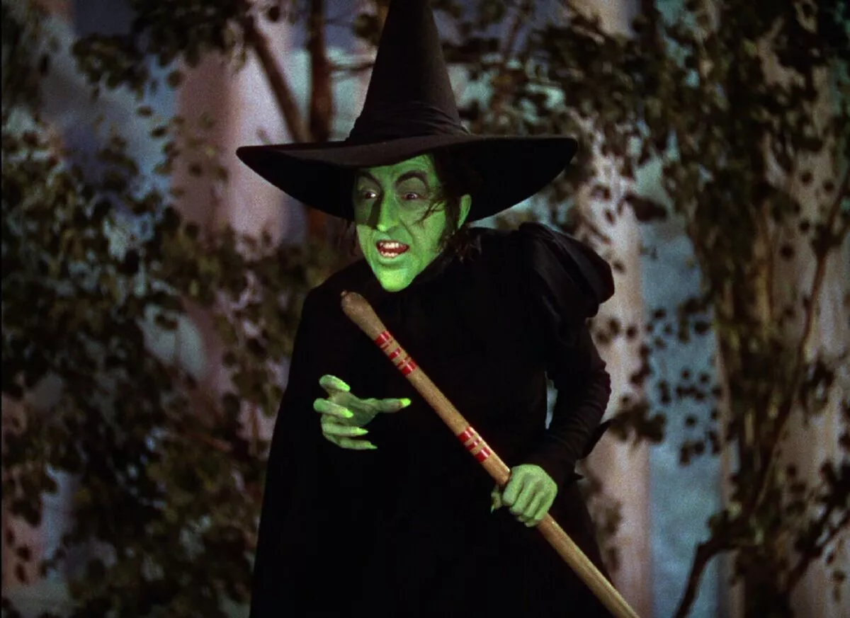 Wicked on sale witch costume