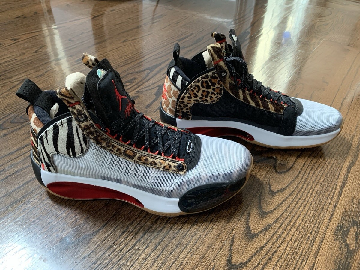 Size 11 - Jayson Tatum x Air Jordan 34 Welcome To The Zoo Size 11 - Jayson Tatum x Air Jordan 34 Welcome To The Zoo