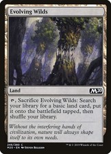 Fetch Land List Fabled Passage & More (EX/NM) Set can vary MTG Discount:5+ Cards