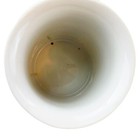 Bild 12 von 12
