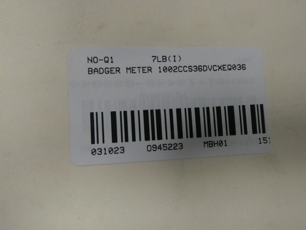 Badger Meter 1002CCS36DVCXEQO36 Stainless Research Control