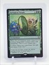 SPRINGLEAF PARADE 2026 MAGIC THE GATHERING LORWYN ECLIPSED RARE Q6016